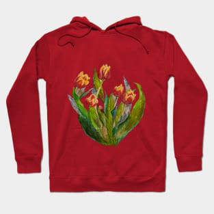 Triangular Tulip Spray Hoodie